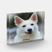 Duitse Shepard Dog. Fotoblokken (Links)