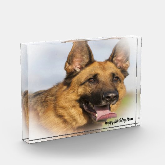 Duitse Shepard Dog. Fotoblokken (Links)