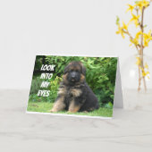 DUITSE SHEPARD ZEGT "HAPPY 40th" Kaart (Gele Bloem)