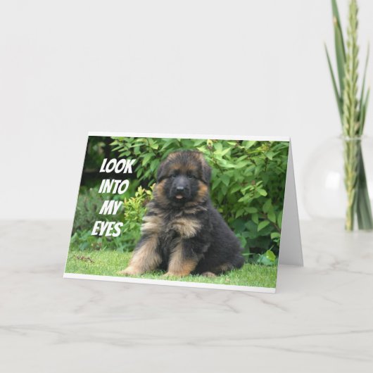 DUITSE SHEPARD ZEGT "HAPPY 40th" Kaart (Voorkant)