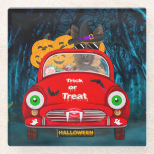 Duitse Shepherd Dog Driving Car Scary Halloween Glazen Onderzetter