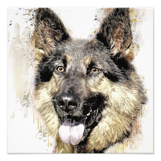 Duitse Shepherd Dog foto Uitbreiding Foto Afdruk