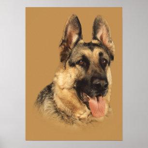 Duitse Shepherd Zeer handig afdrukken Poster