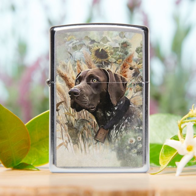 Duitse Shorthaired Pointer (On Table)