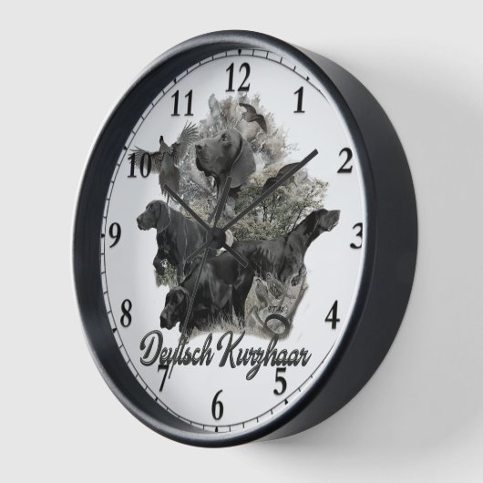 Duitse Shorthaired pointer (Hoek)