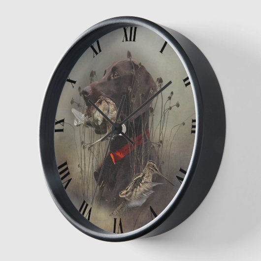 Duitse Shorthaired Pointer (Hoek)