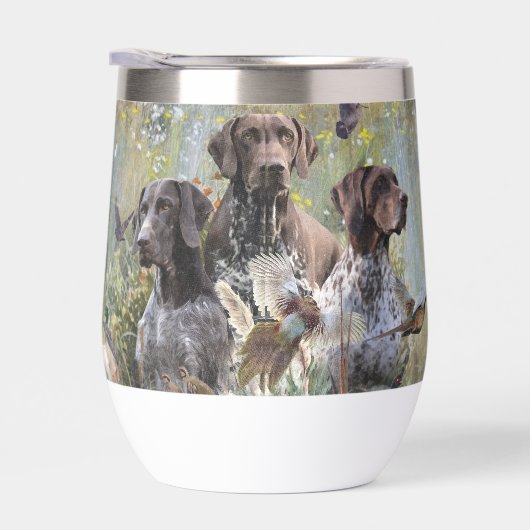 Duitse Shorthaired Pointer (Rechts)