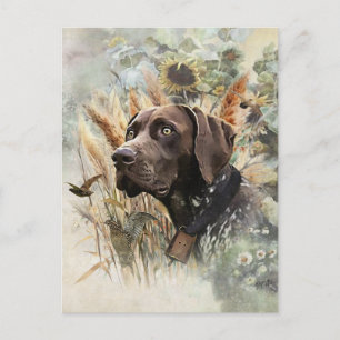 Duitse Shorthaired Pointer Briefkaart