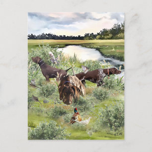 Duitse Shorthaired pointer Briefkaart