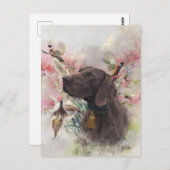 Duitse shorthaired pointer briefkaart (Voorkant / Achterkant)