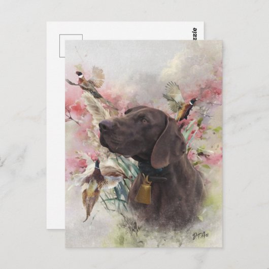 Duitse shorthaired pointer briefkaart (Voorkant / Achterkant)