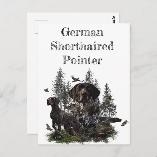 Duitse Shorthaired Pointer Briefkaart (Voorkant / Achterkant)