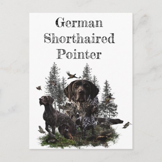 Duitse Shorthaired Pointer Briefkaart (Voorkant)