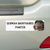 Duitse Shorthaired Pointer Bumpersticker (Op auto)