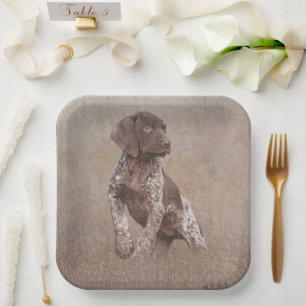 Duitse Shorthaired Pointer, Deutsch Kurzhaar Pape Papieren Bordje