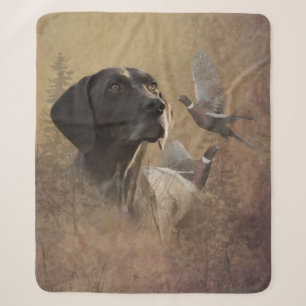 Duitse Shorthaired Pointer, Deutsch Kurzhaar Sherpa Deken