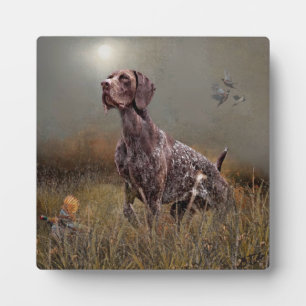 Duitse Shorthaired Pointer, Deutsch Kurzhaar Tapes Fotoplaat