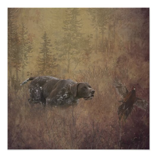 Duitse Shorthaired Pointer, Deutsch Kurzhaar Tapes Perfect Poster (Voorkant)