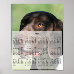 Duitse Shorthaired pointer dog 2013 kalender print