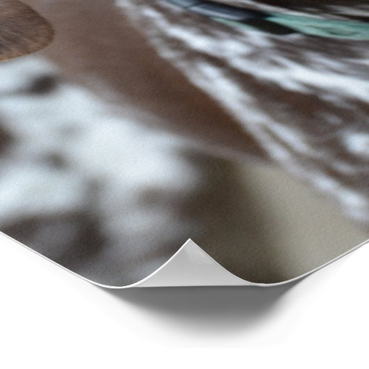 Duitse Shorthaired Pointer Dog Poster (Hoek)