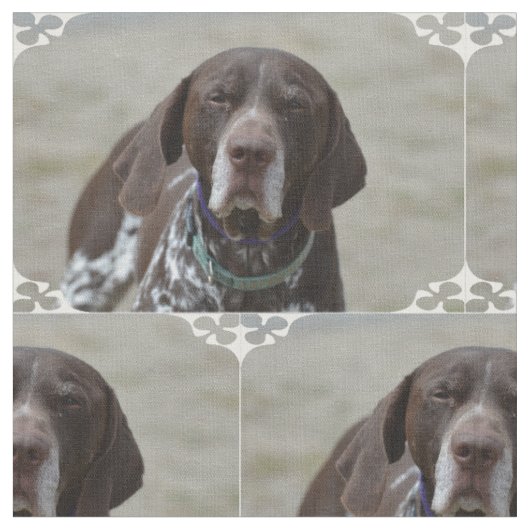 Duitse Shorthaired Pointer Dog Stof (Close Up)
