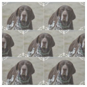 Duitse Shorthaired Pointer Dog Stof (Swatch)