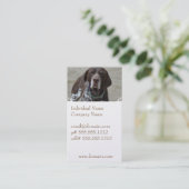 Duitse Shorthaired Pointer Dog Visitekaartje (Staand voorkant)