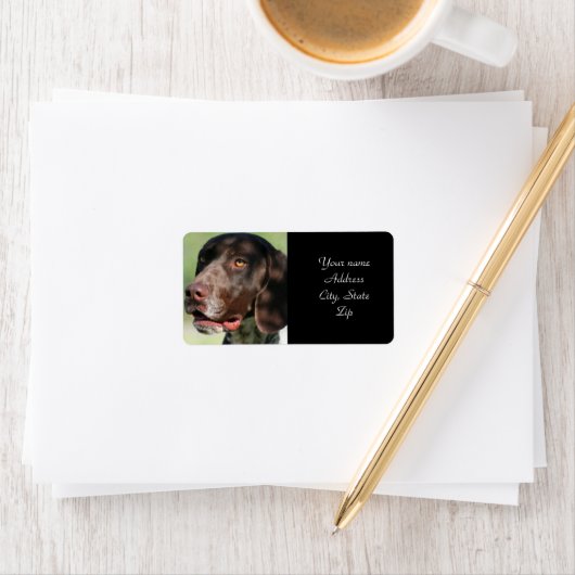 Duitse Shorthaired Pointer Etiket (Insitu)