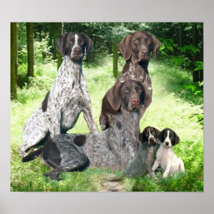 Duitse Shorthaired Pointer Family Print