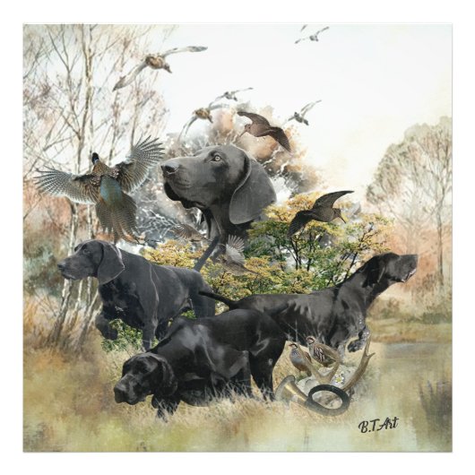 Duitse Shorthaired pointer Foto Afdruk (Voorkant)