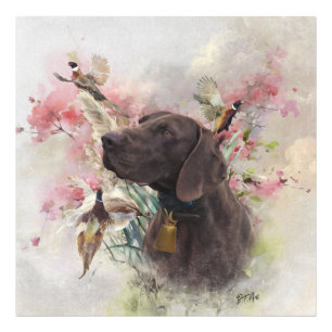 Duitse shorthaired pointer foto afdruk