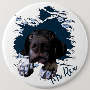 Duitse Shorthaired Pointer, grappig gezicht Ronde Button 6,0 Cm