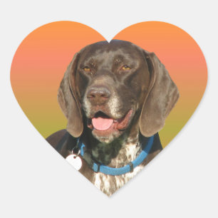 Duitse Shorthaired Pointer Hart Sticker