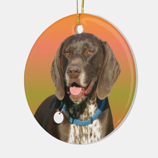 Duitse Shorthaired Pointer Keramisch Ornament (Links)