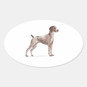 Duitse Shorthaired Pointer Ovale Sticker