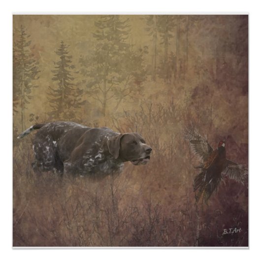 Duitse Shorthaired Pointer Perfect Poster (Voorkant)