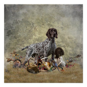 Duitse Shorthaired Pointer Perfect Poster