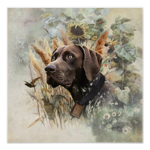 Duitse Shorthaired Pointer Perfect Poster