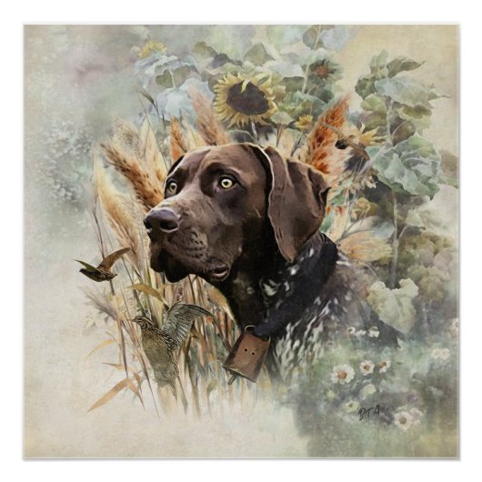 Duitse Shorthaired Pointer Perfect Poster (Voorkant)