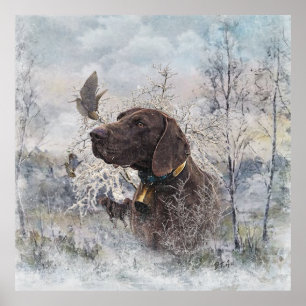 Duitse Shorthaired Pointer Poster