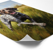 Duitse Shorthaired Pointer Poster (Hoek)
