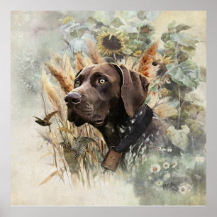 Duitse Shorthaired Pointer Poster