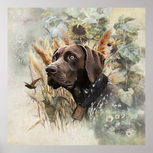 Duitse Shorthaired Pointer Poster (Voorkant)
