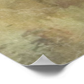 Duitse Shorthaired pointer Poster (Hoek)