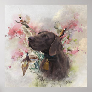 Duitse shorthaired pointer poster