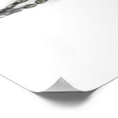 Duitse Shorthaired Pointer Poster (Hoek)