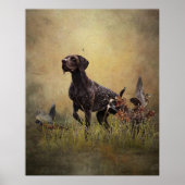 Duitse Shorthaired Pointer Poster (Voorkant)