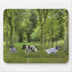 Duitse Shorthaired Pointer Pups Mousepad Muismat