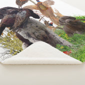 Duitse Shorthaired Pointer Sherpa Deken (3/4)