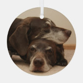 Duitse Shorthaired Pointer Sisters Glas Ornament (Achterkant)